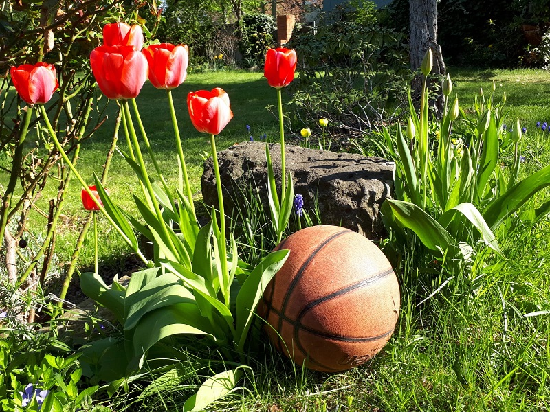 Die Geschäftsstelle macht Osterferien // Foto: BVSA Die Geschäftsstelle macht Osterferien // Foto: BVSA